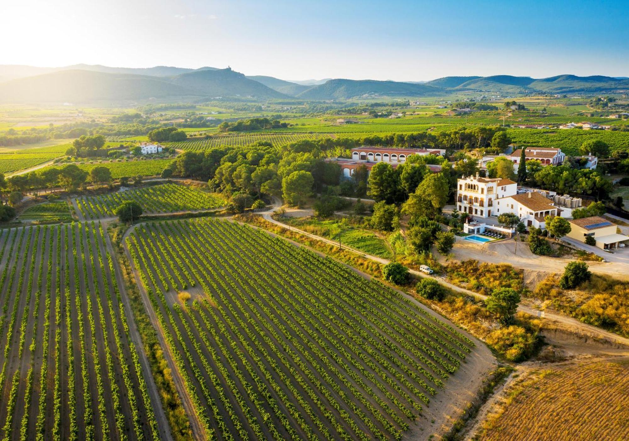 Bolet Casa Modernista Bed & Breakfast Castellvi de la Marca Bagian luar foto