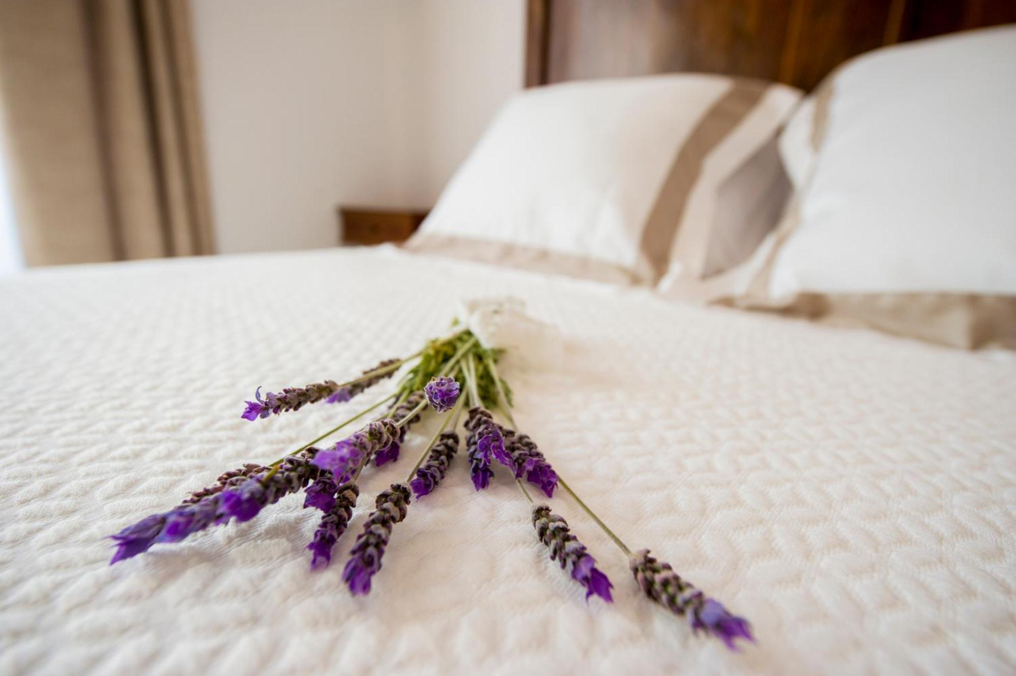 Bolet Casa Modernista Bed & Breakfast Castellvi de la Marca Bagian luar foto